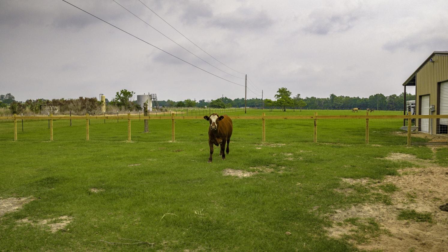 Complete Turnkey Country Horse Property - photo 19