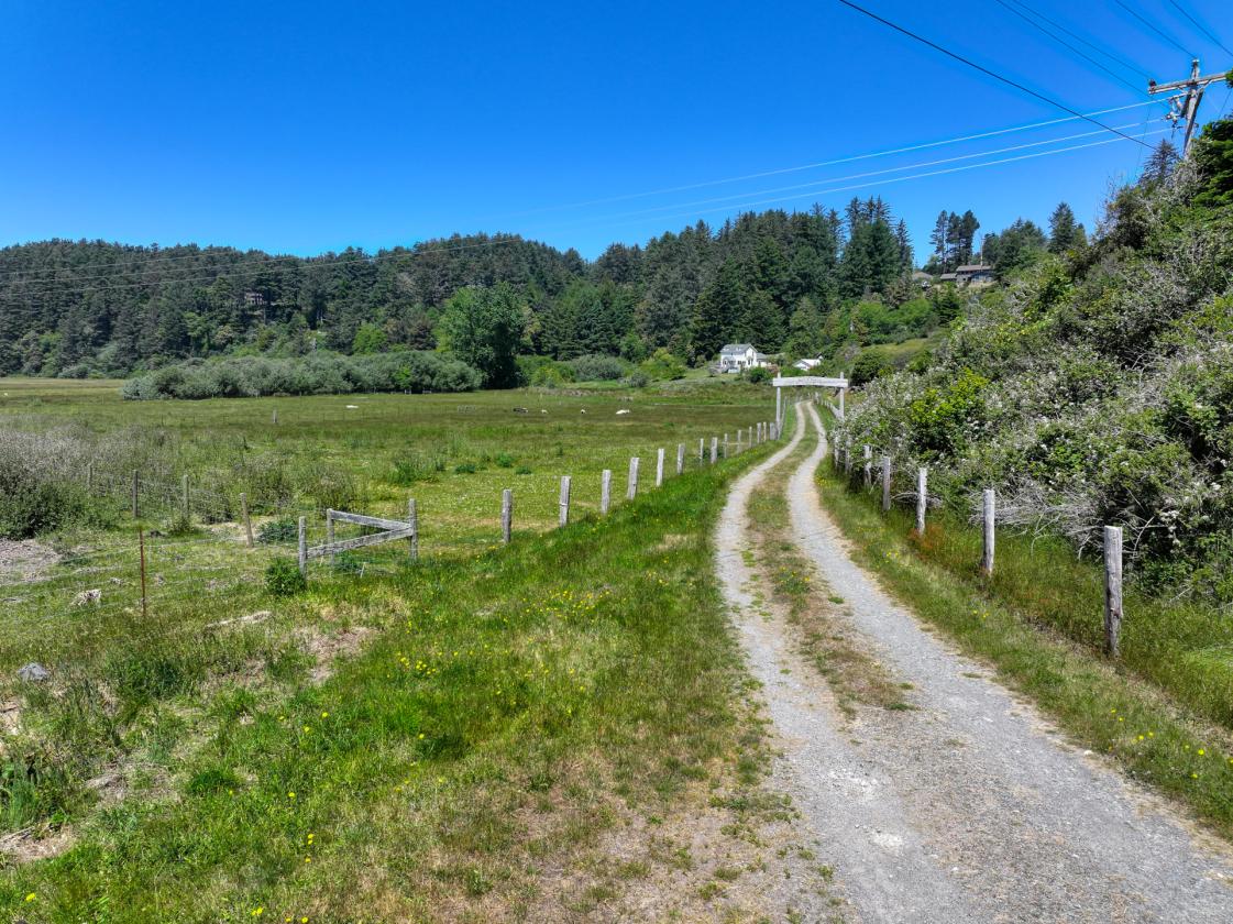 Pistol riverfront 1903 farmhouse on74+- acres - photo 3
