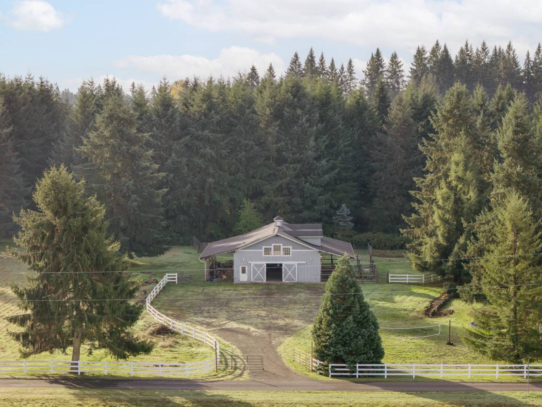 Horse Property in Town - Remolded Home - photo 8
