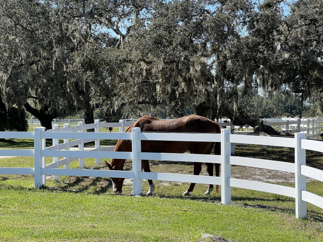 10-Acre Homesite in the Equestrian Community of Sarasota Ranch Club, Sarasota, Manatee County, Florida