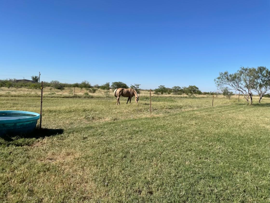 52-Acre Classic Country Property - photo 20