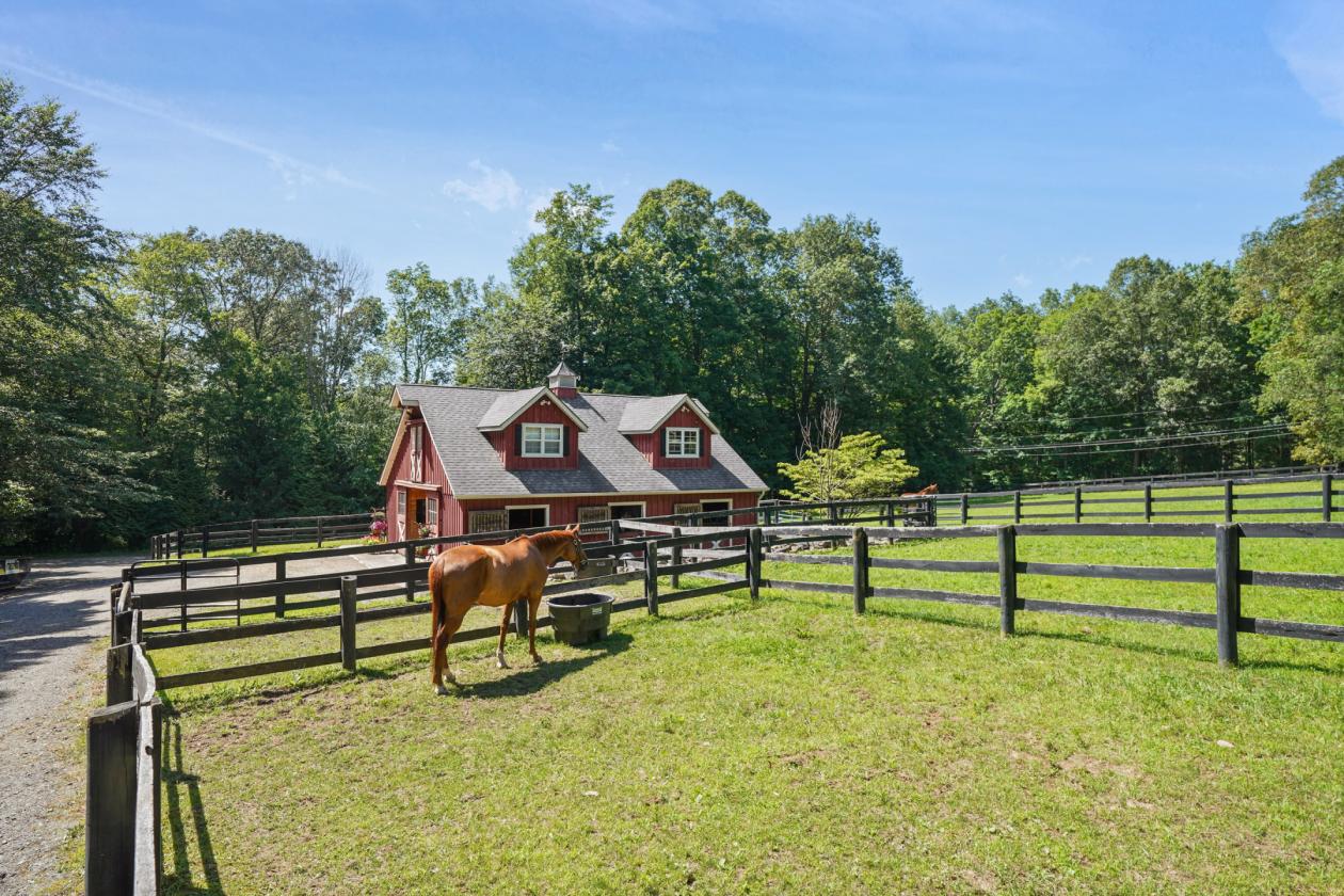 Meadow Ridge Farm - Luxury Horse Property - photo 23
