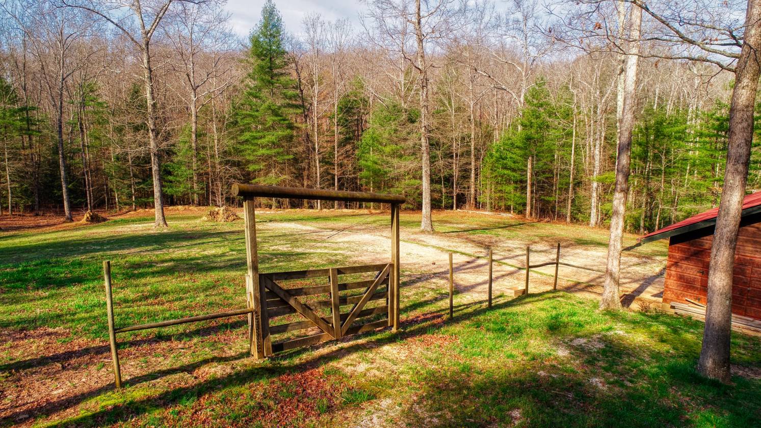 Direct Trail Access Cabin with 8.94 acres Spruce... Jamestown