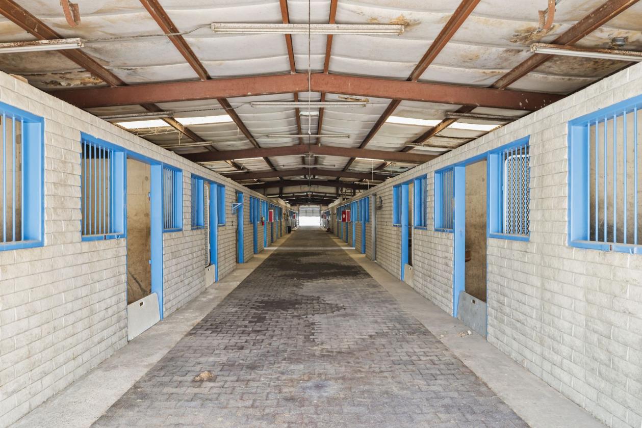 DIAMOND D RANCH EQUESTRIAN ESTATE - photo 30