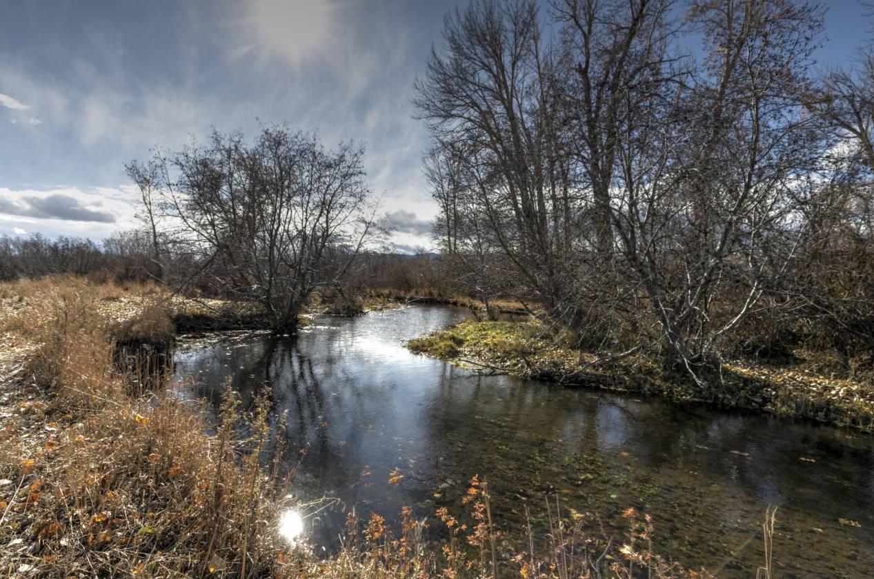Phantom Spring Ranch on 470± Acres - photo 18