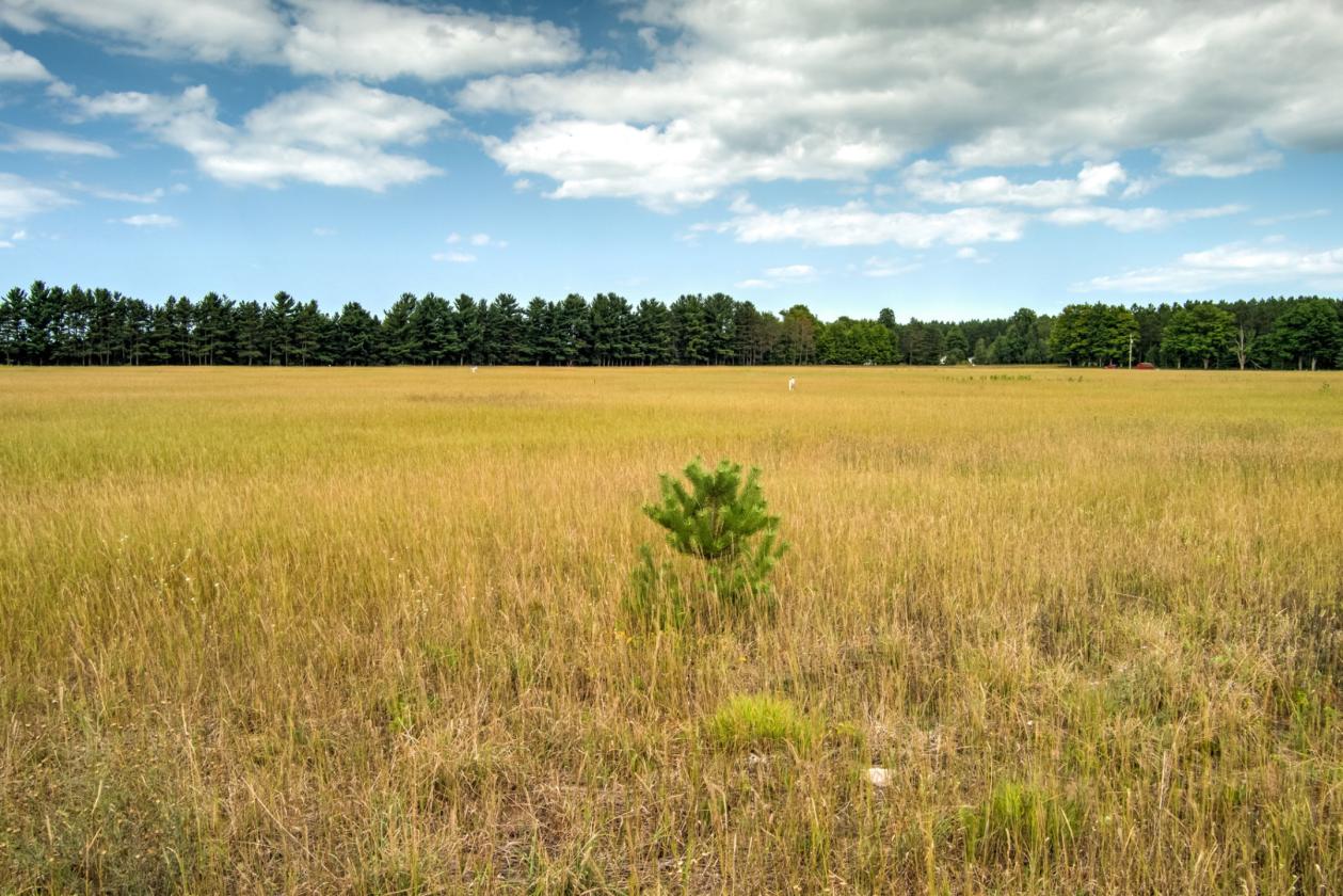 50.20 ACRES – BUILD YOUR EQUESTRIAN ESTATE & FARM - photo 13
