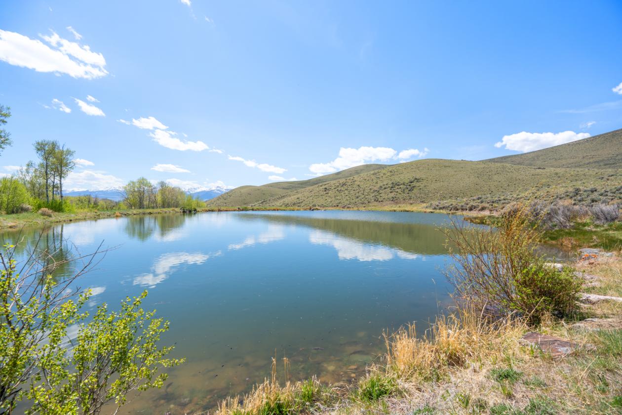 Private Idaho Retreat on 325 acres! - photo 13