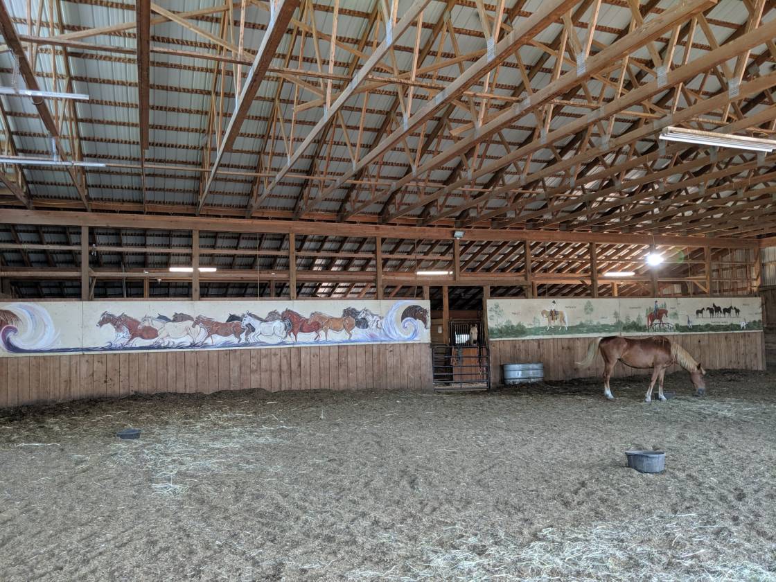 TurnKey Horse Farm & Training Center Operation on 12 Acres