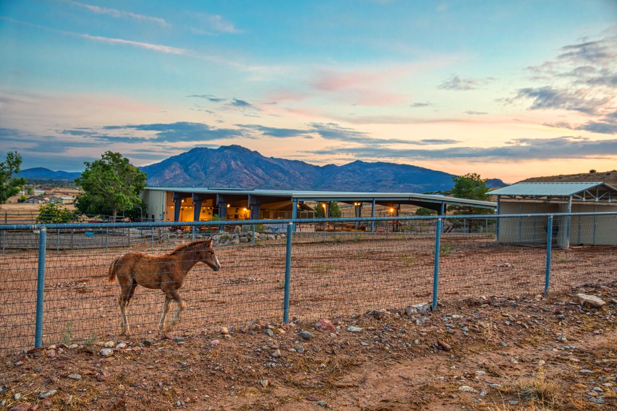 27 Acre Equestrian Dream Home w/ Views & Workshop - photo 15