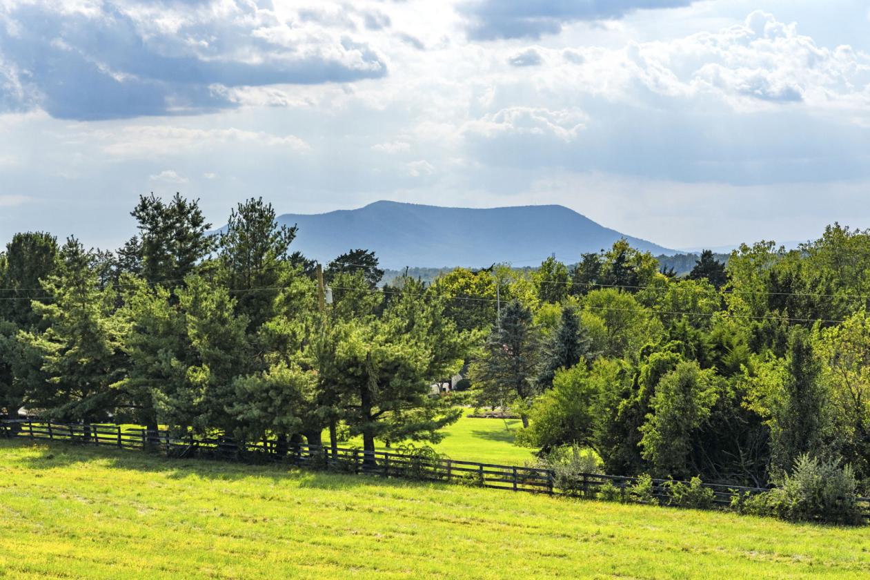 OAKLAND | A Distinctive Estate in VA Hunt Country - photo 27