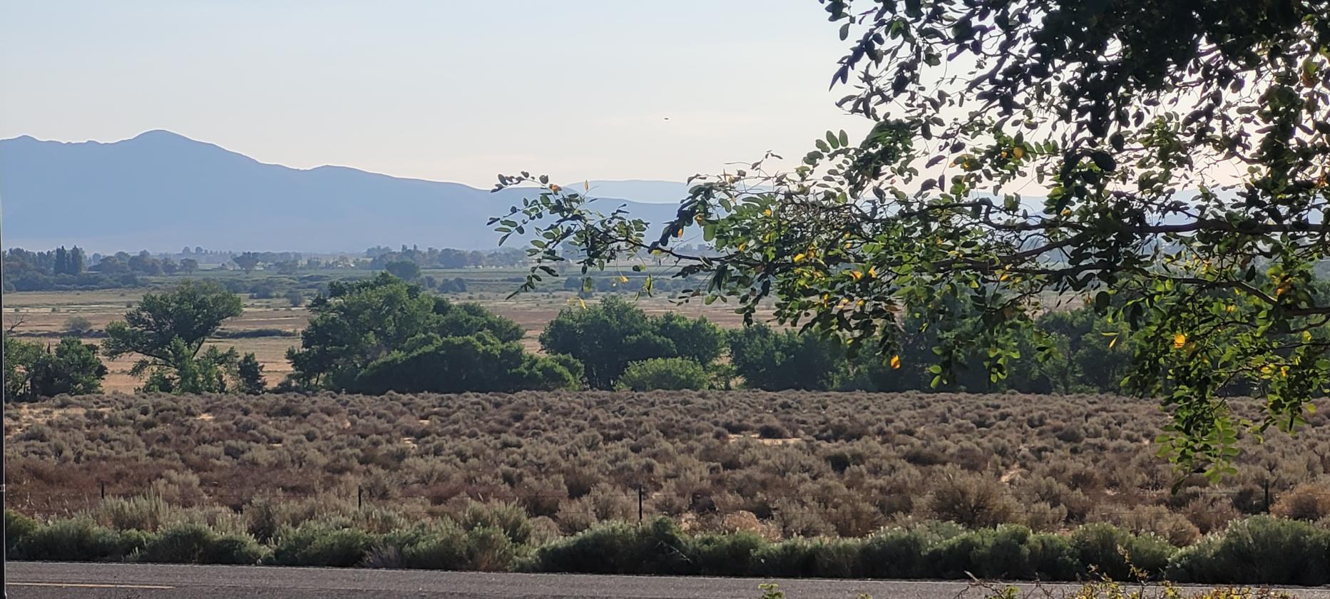Horse Property with Endless Views! - photo 7