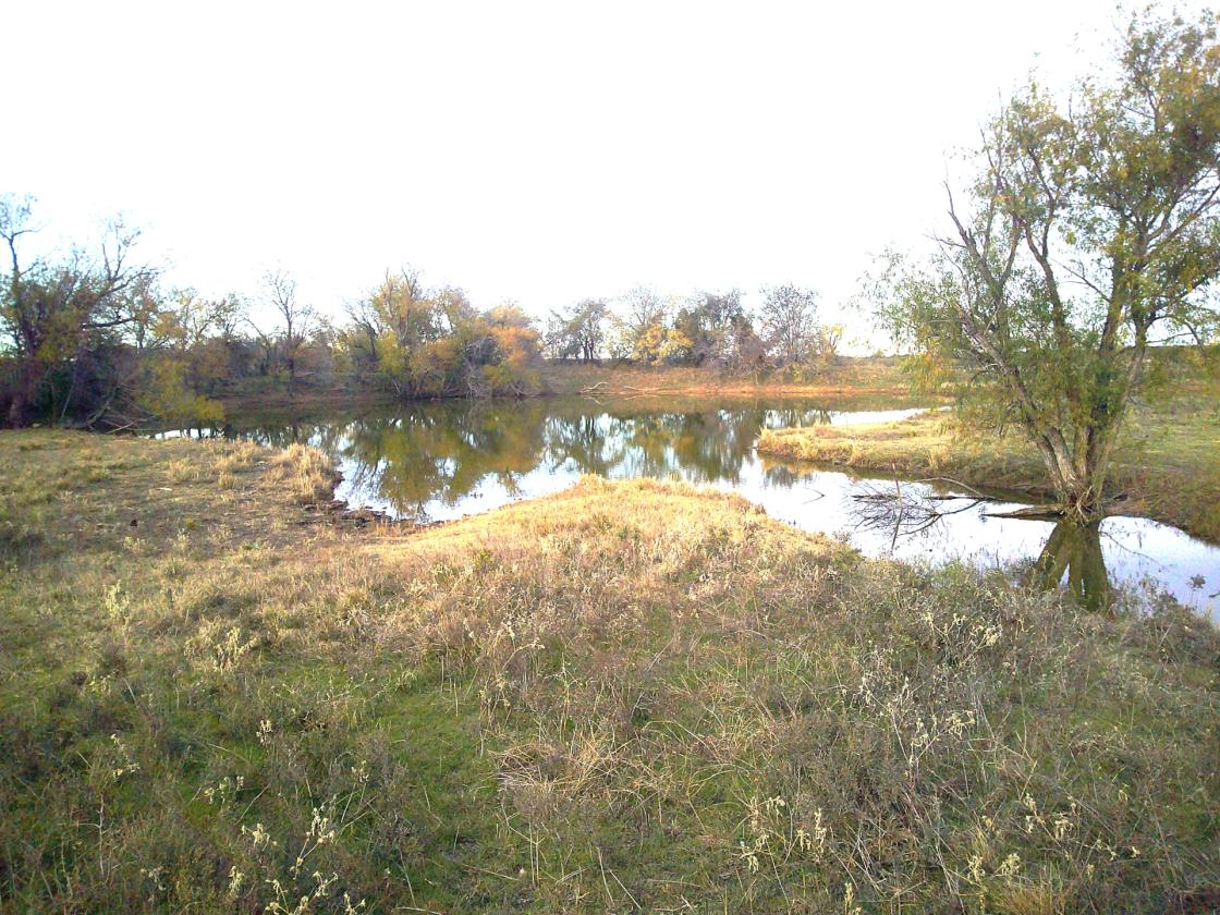Horse Pasture With ponds - photo 4