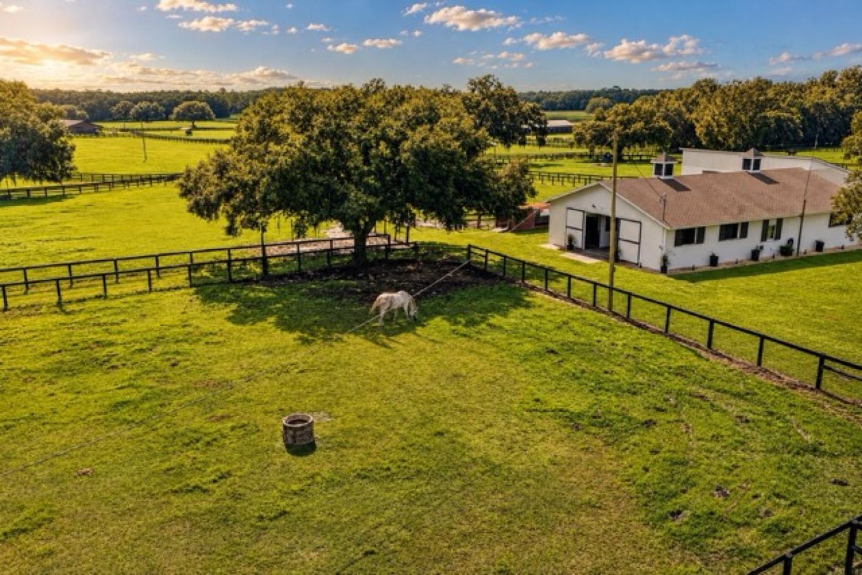 Turn-Key 20 Ac Horse Farm Renovated Home mins WEC - photo 5