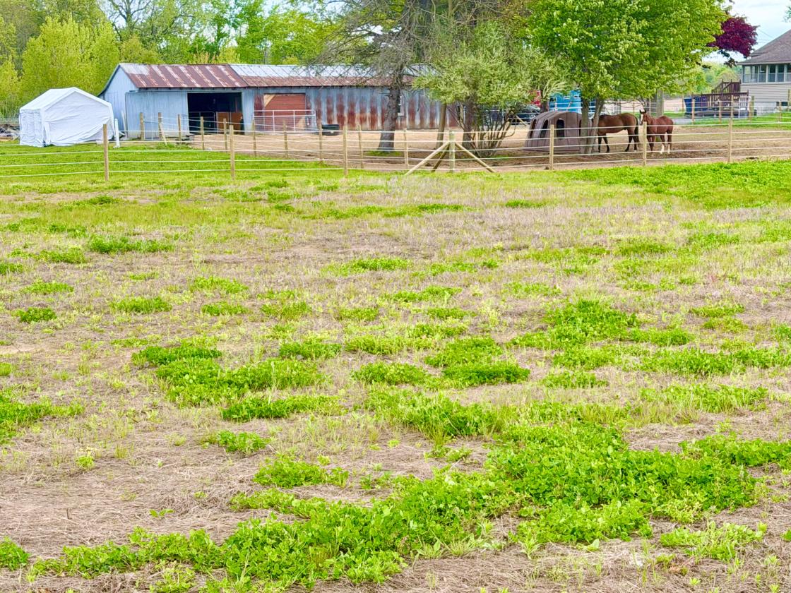 60Acres Equestrian Land with Scenic Trails - photo 4
