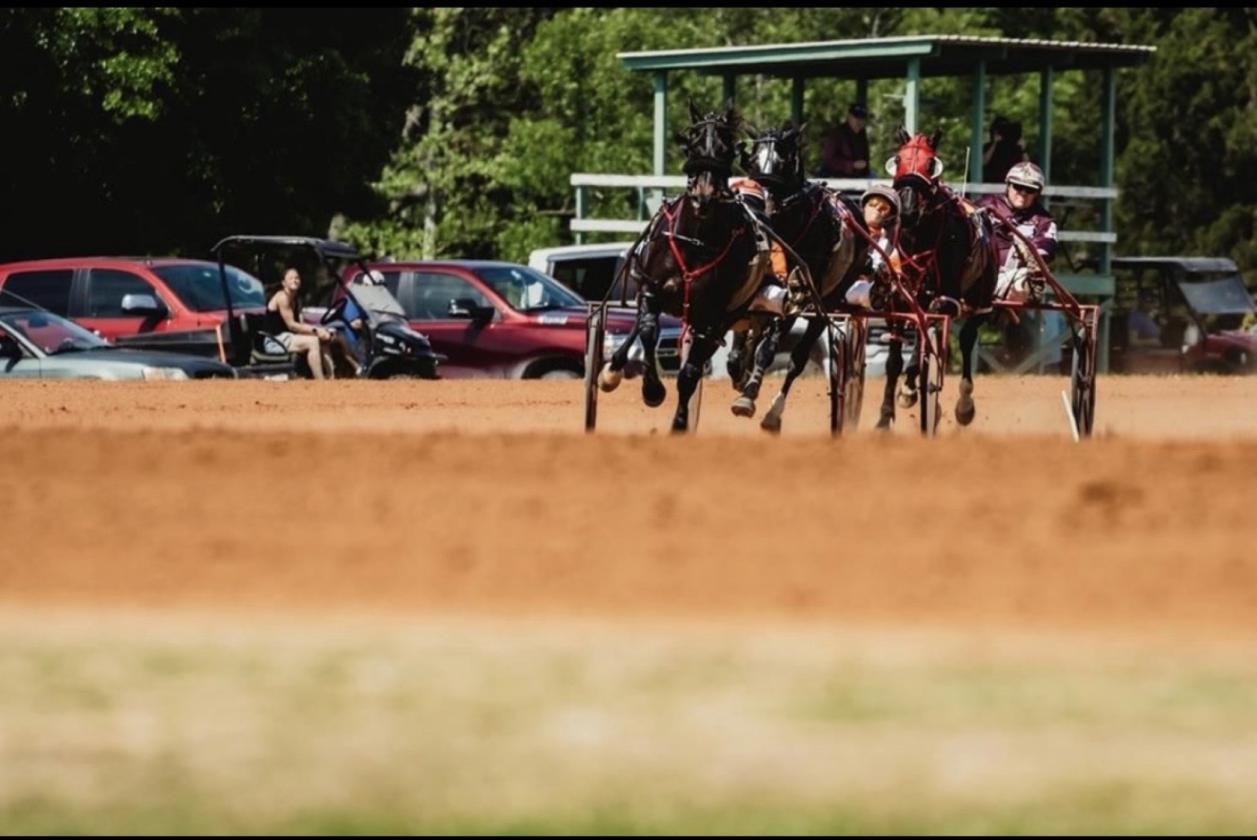 10 Acre Horse Facility/Harness Racing Community - photo 28