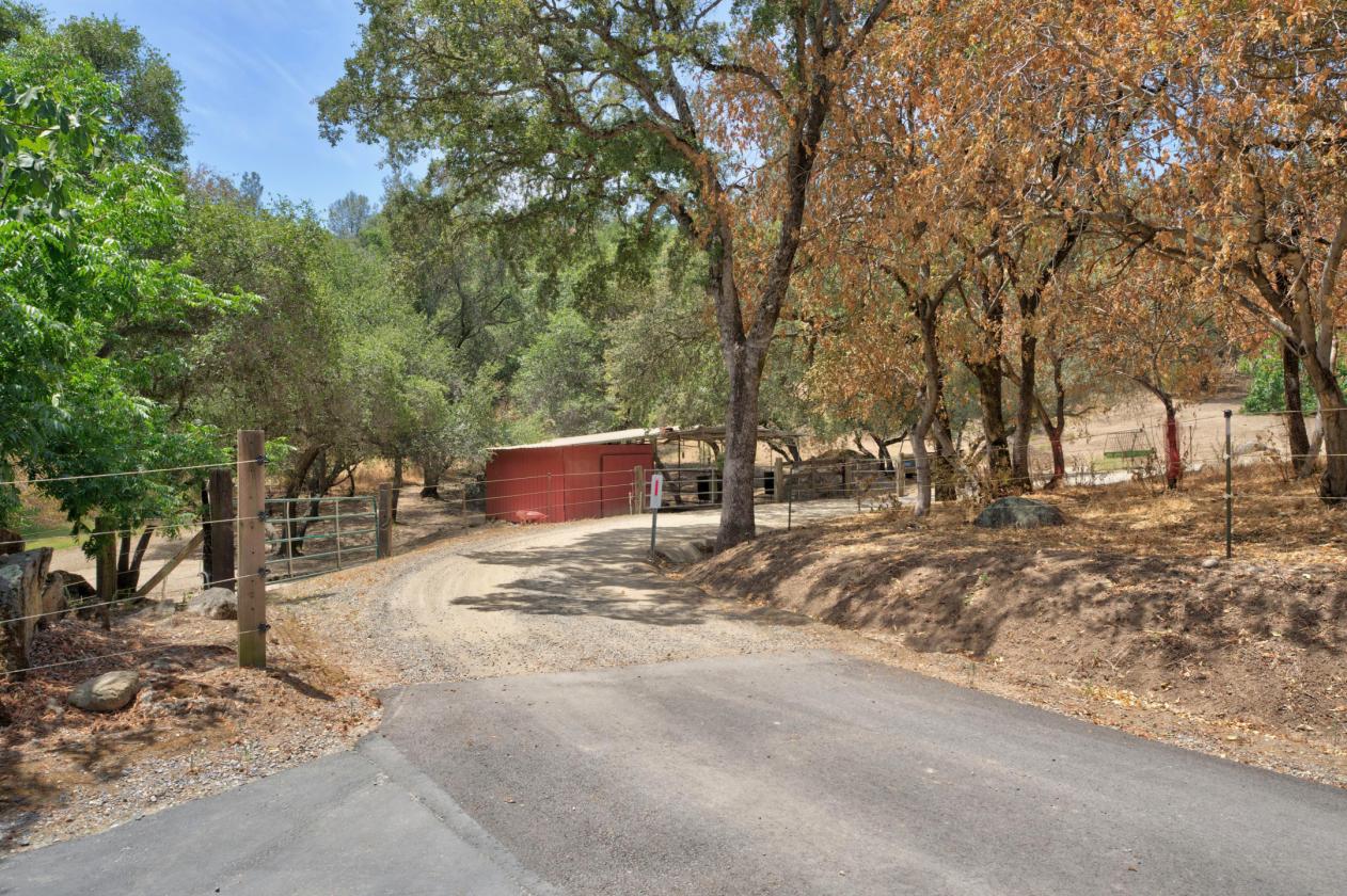 First Time On Market - The Potter Ranch - photo 13