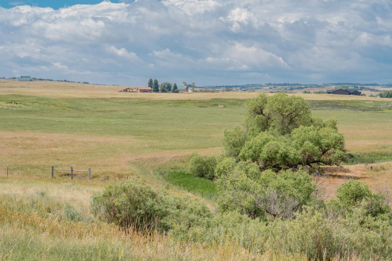 Castlewood Canyon Ranch - photo 7