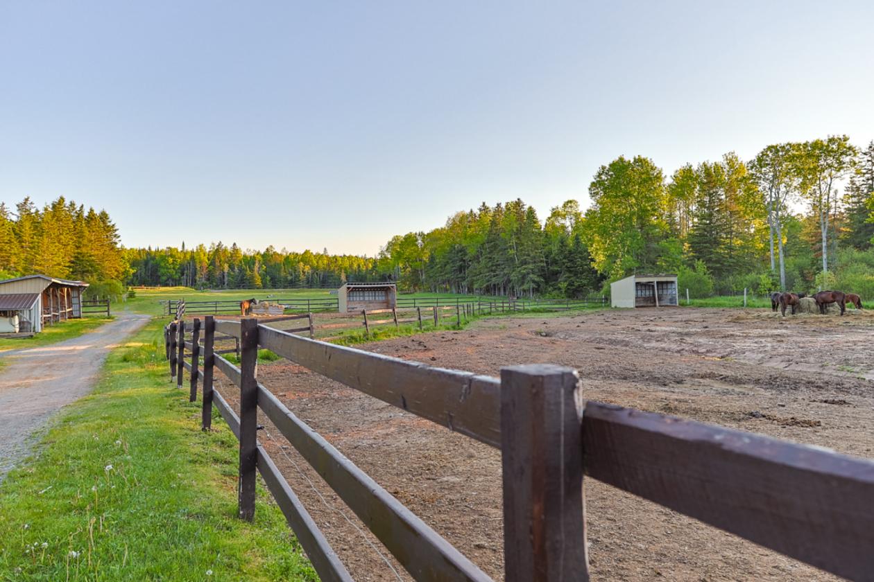 40 Acre Equestrian Property with Indoor Arena - photo 5
