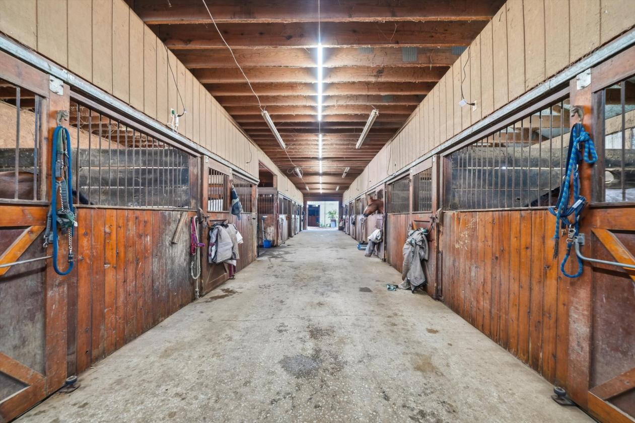 Commercial Horse Farm - photo 8