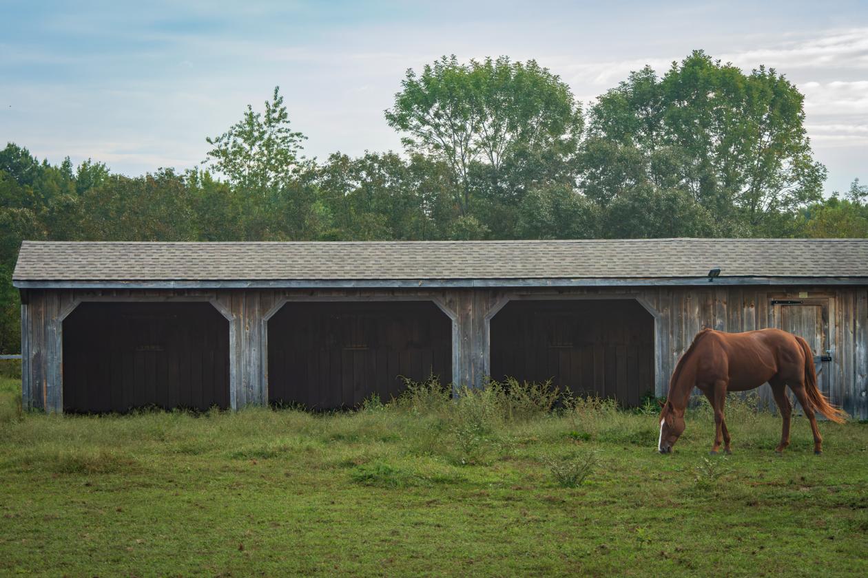 100 Acre Equestrian Estate with Infrastructure - photo 11