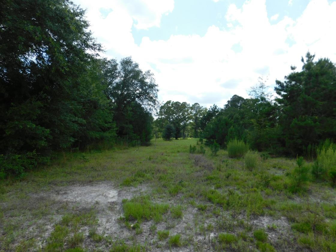 Lowcountry Paradise, waiting for your creativity - photo 6