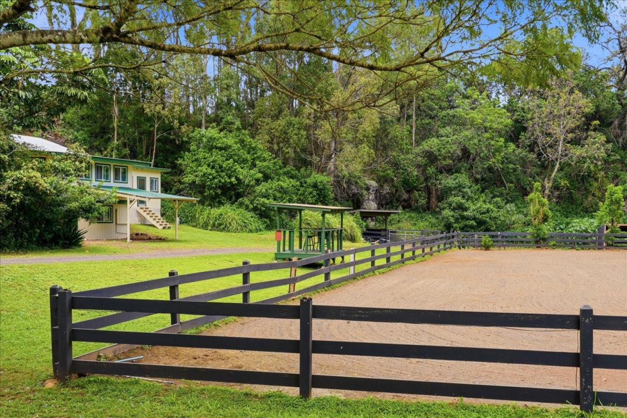 Working Horse ranch on Maui - photo 1