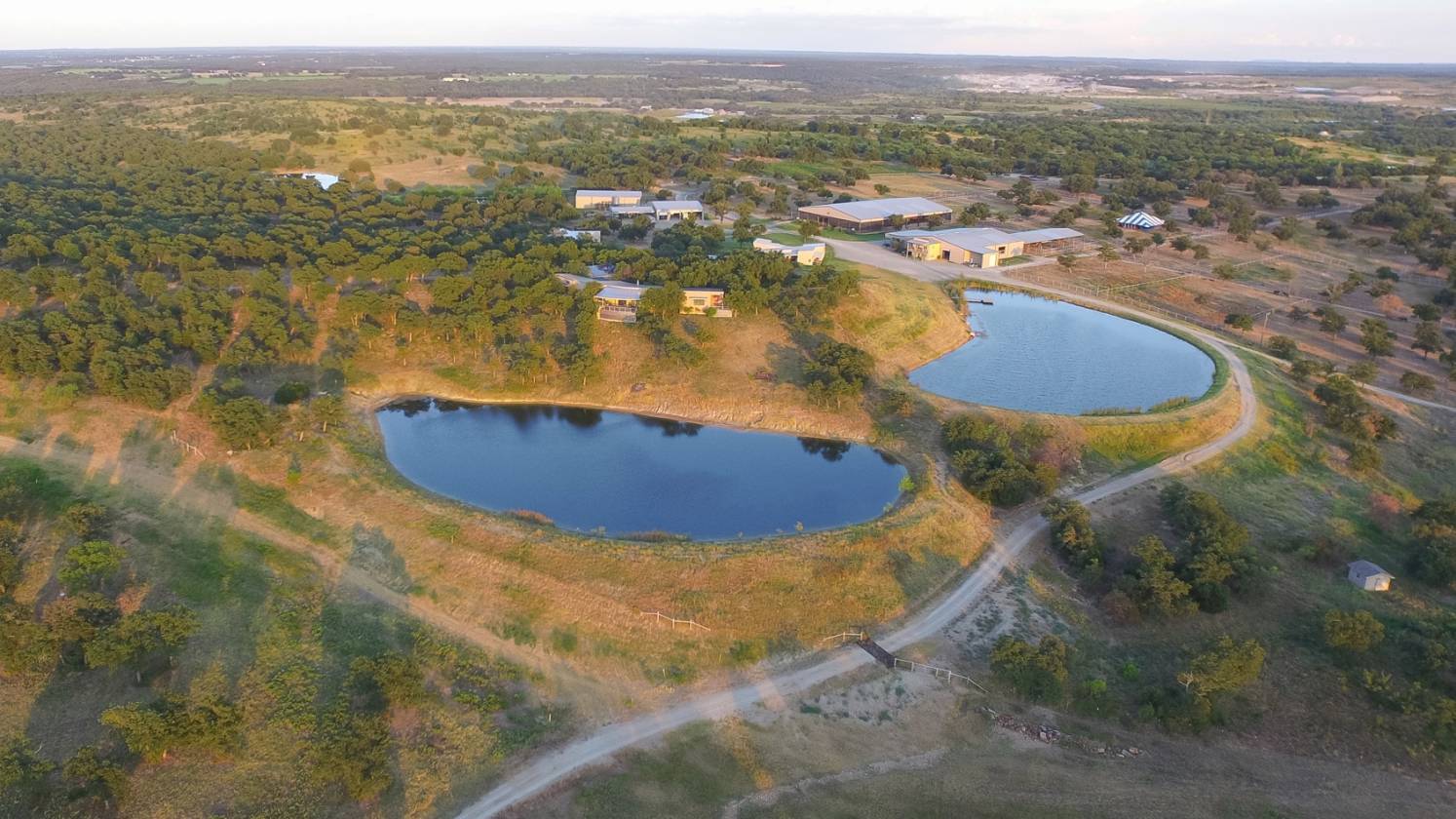 Alice Walton's Rocking W Ranch Millsap, Parker County, Texas Horse
