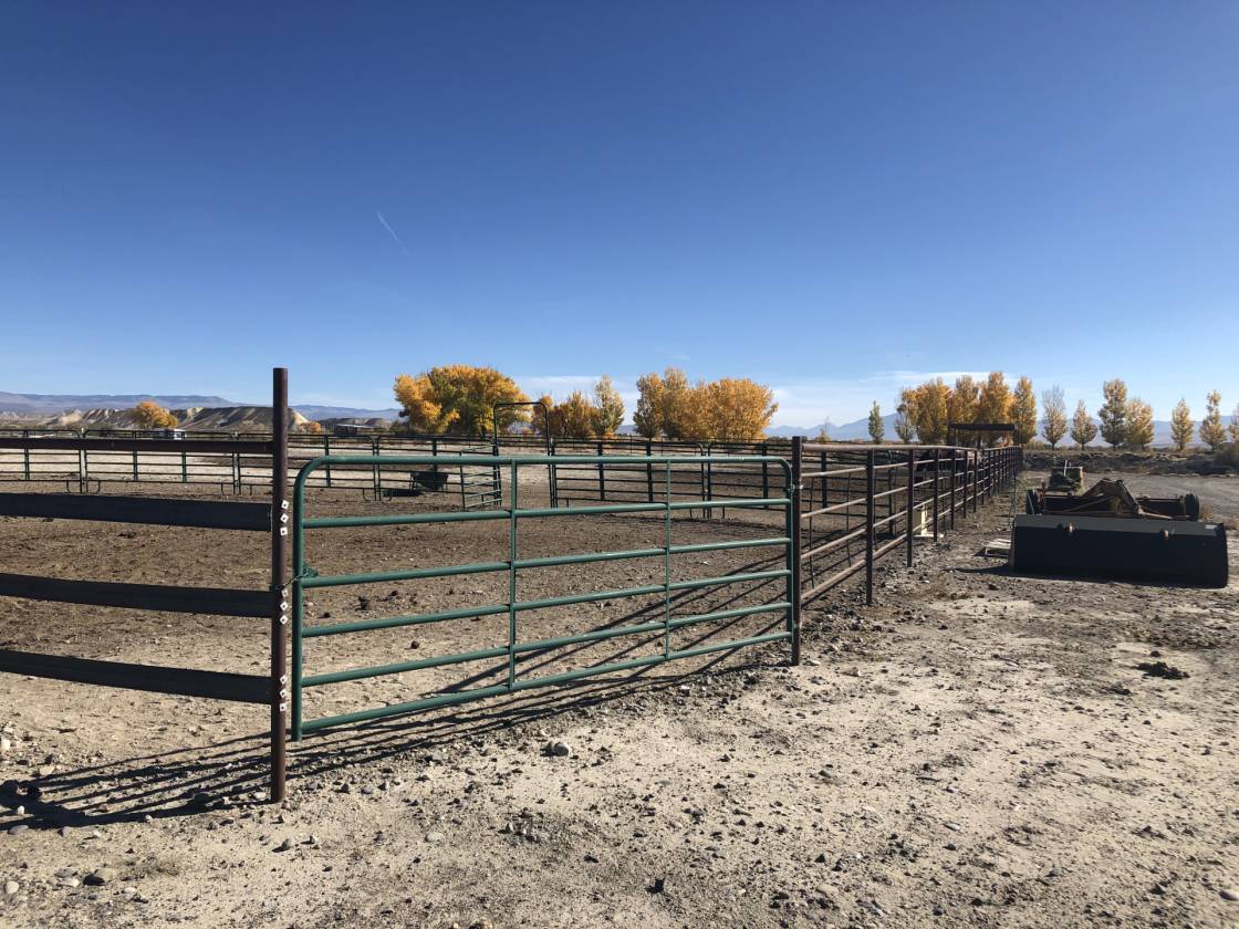 Exceptional Equestrian Property & Home! Delta, Delta County, Colorado