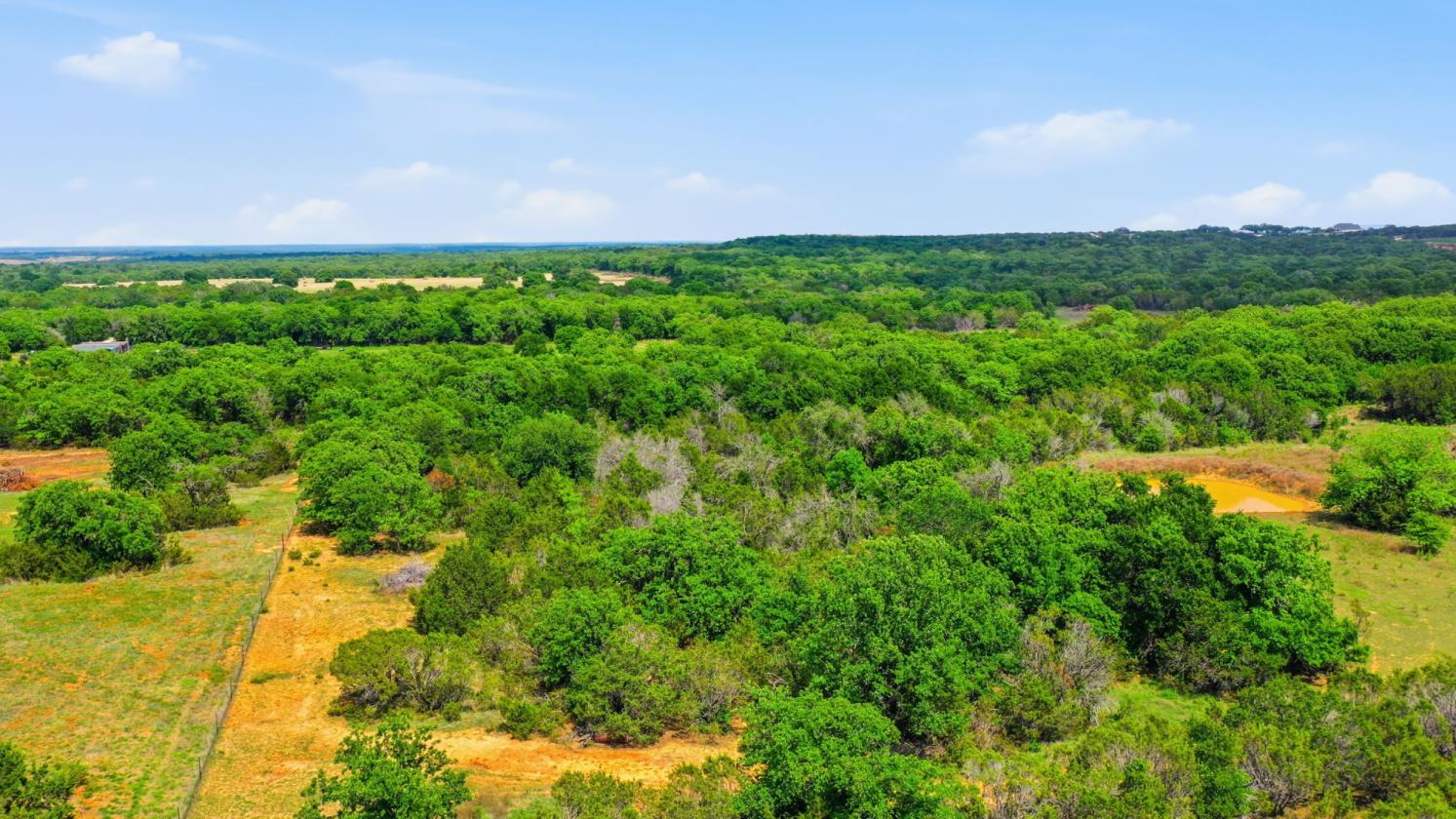 12-Acre Ag-Exempt Property - photo 27