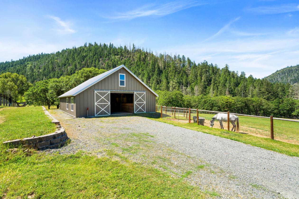 Wine Country Horse Farm with Guest Cottage! - photo 4