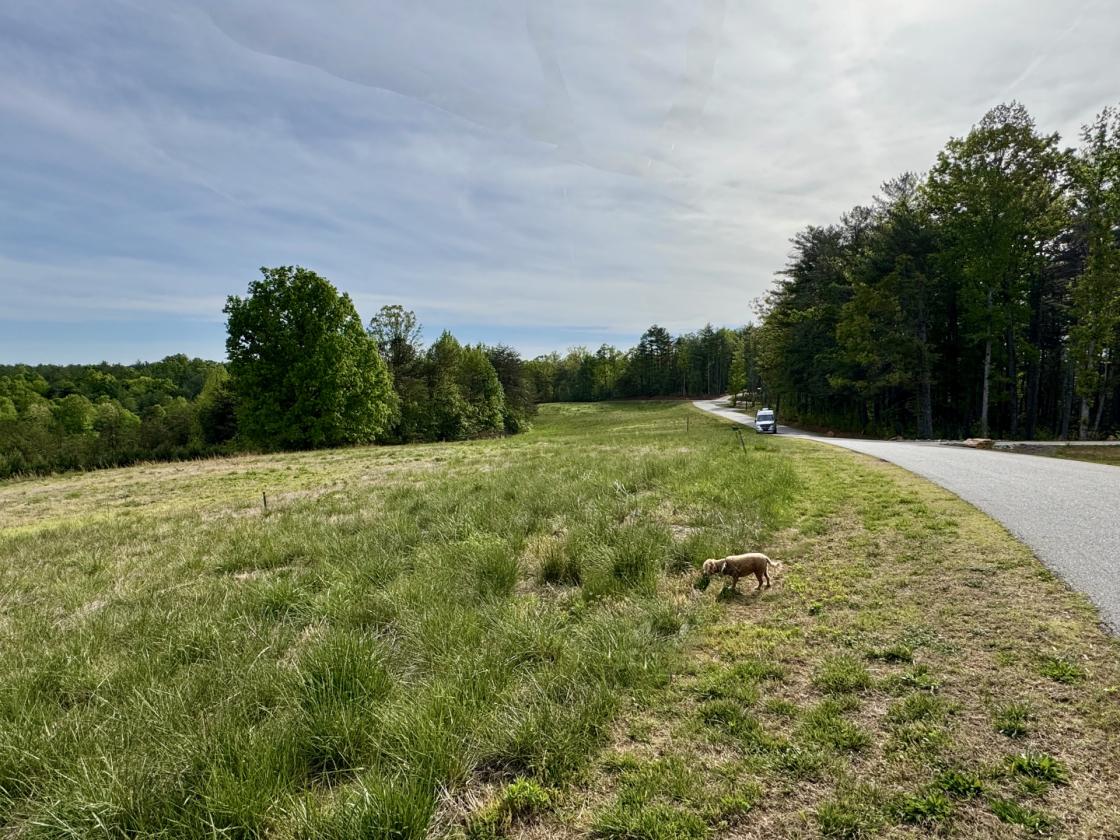 2.47 acres for your Mini-Farm Dream at The Coves - photo 2