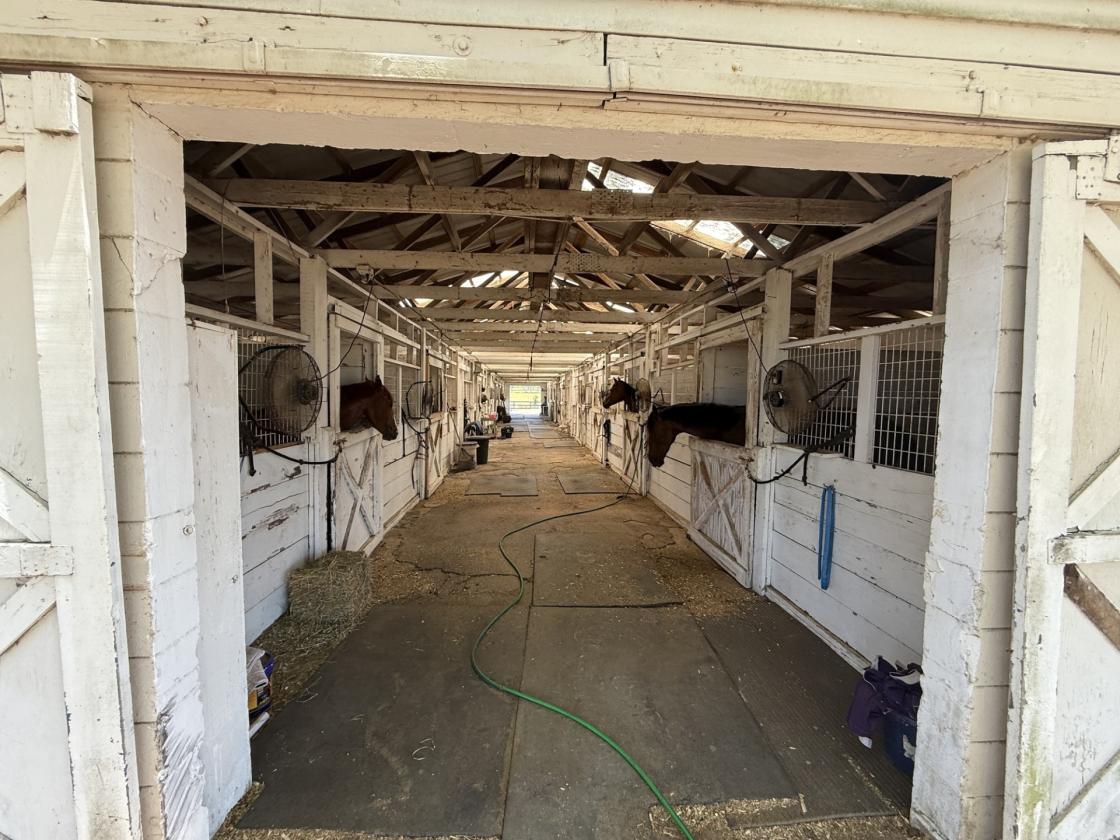 Tiffany Farm - 108 Acres - photo 19