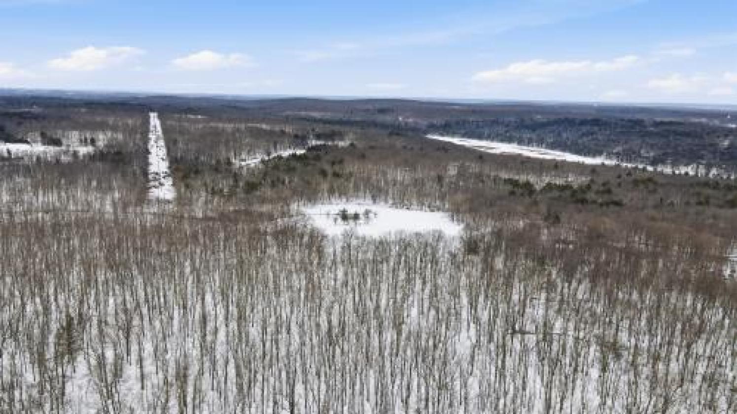 HUGE PRICE DROP! 69+ acres with renovated cabin - photo 17