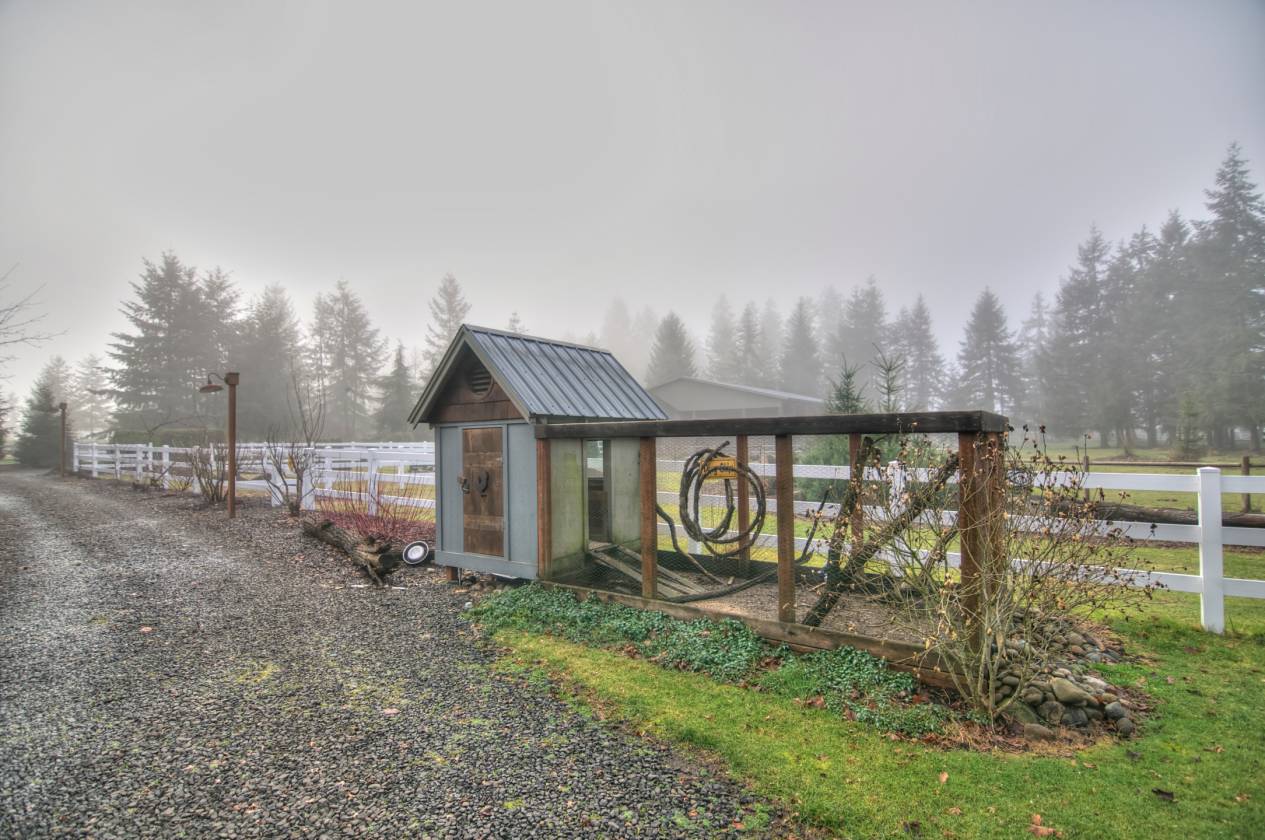 Horse Lovers Paradise Olympia, Thurston County, Washington Horse