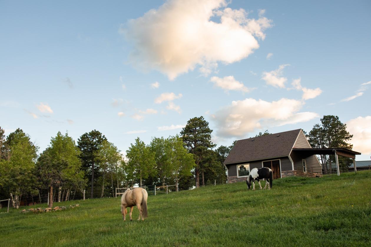 Bear Mountain Ranch - photo 26