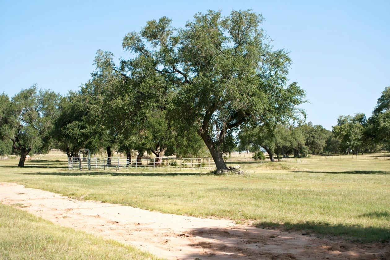 15 Acres Uballe Ranch - photo 23