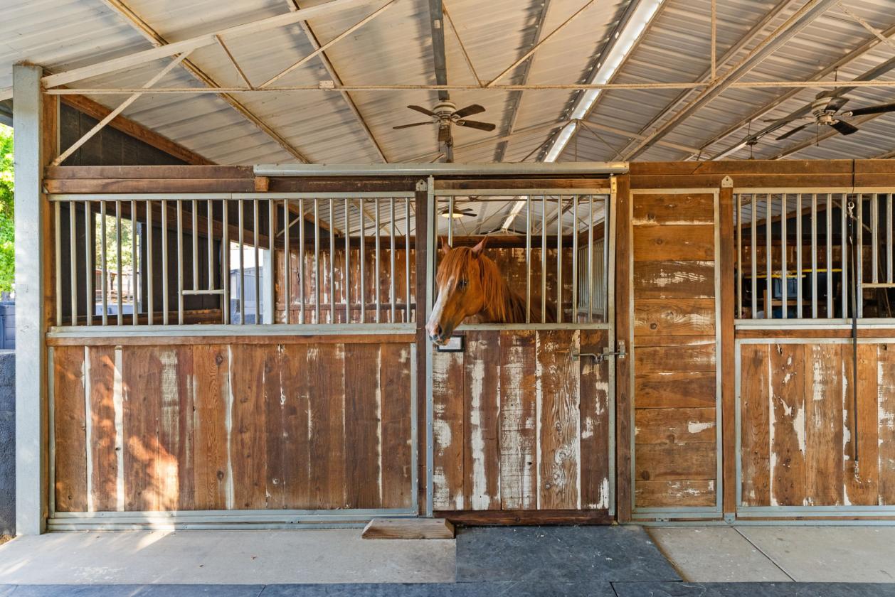 Beautiful 8.02-acre equestrian property - photo 23
