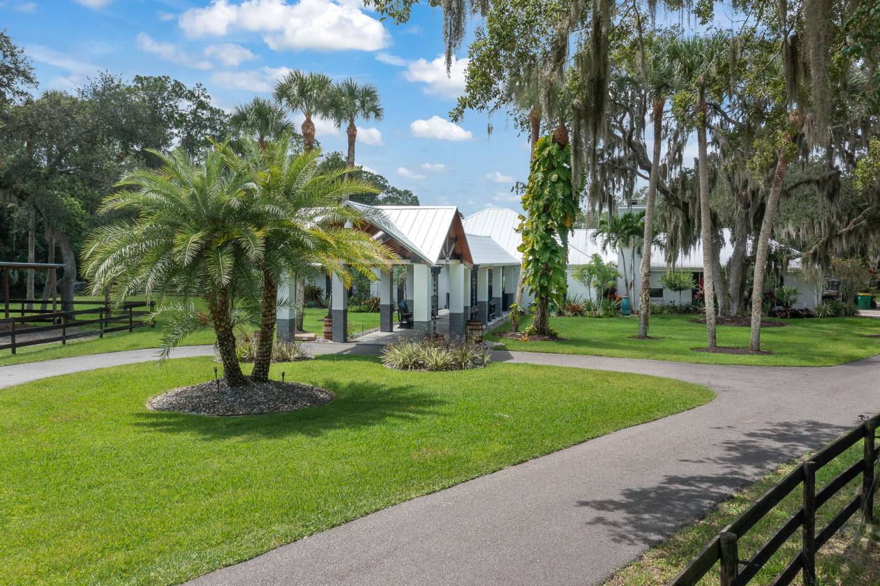 Horse Property for sale.