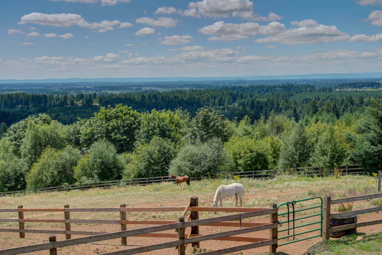 High End Horse Property with Stunning Views Brush Prairie, Clark