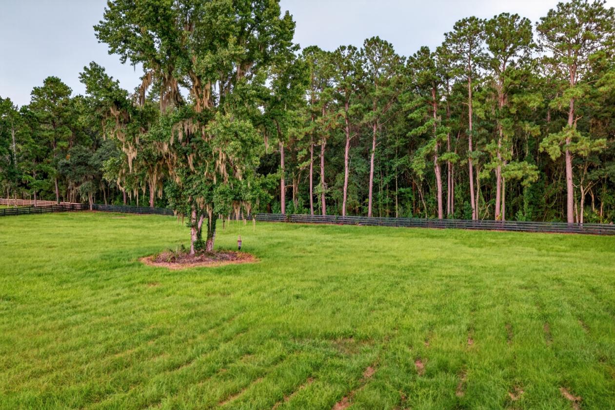 11 Acres Ready to Build Dream Farm 15 mins to WEC - photo 8