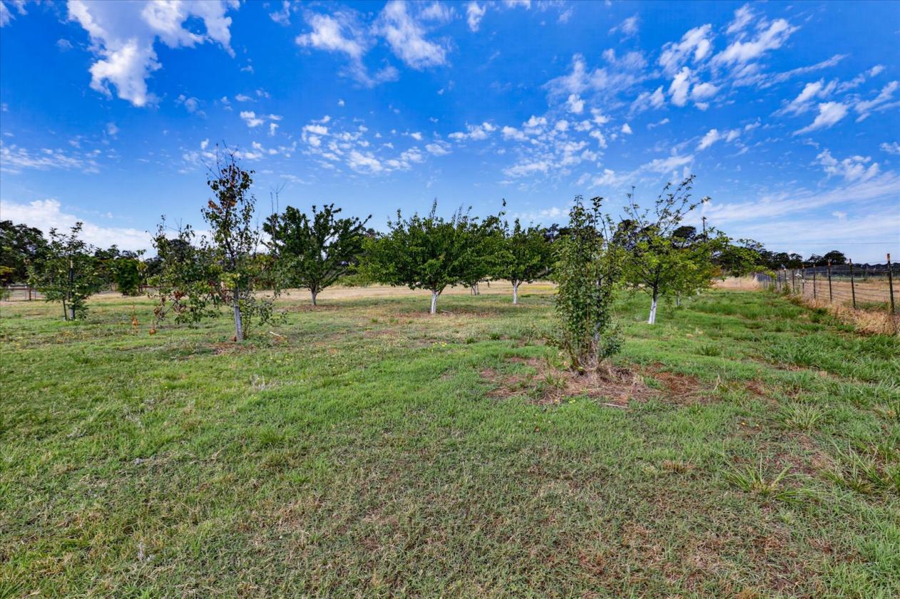 Premier 20-Acre Equestrian Estate - photo 20