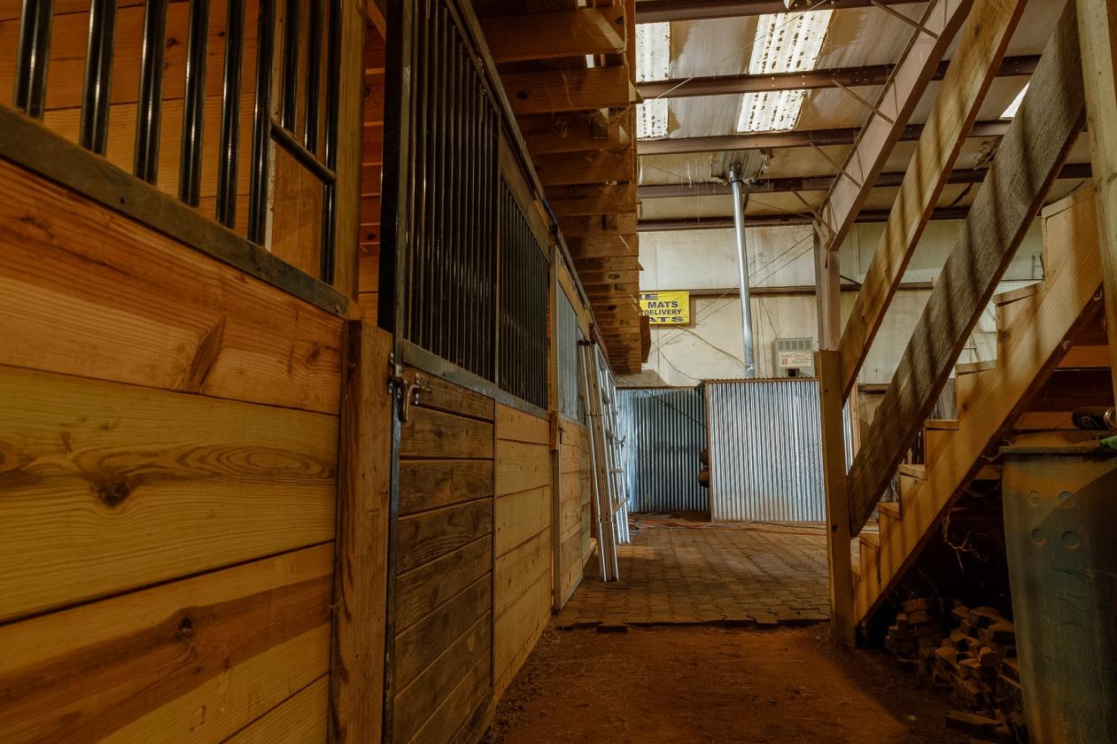 Heated Indoor 67 Acre Horse Training Facility - photo 14