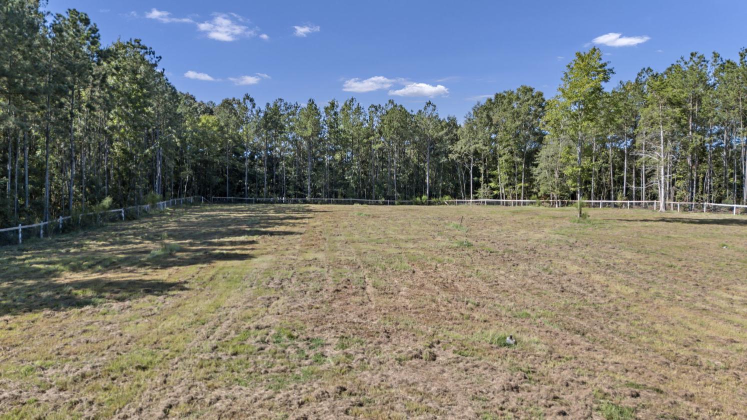 Horse Farm - photo 27
