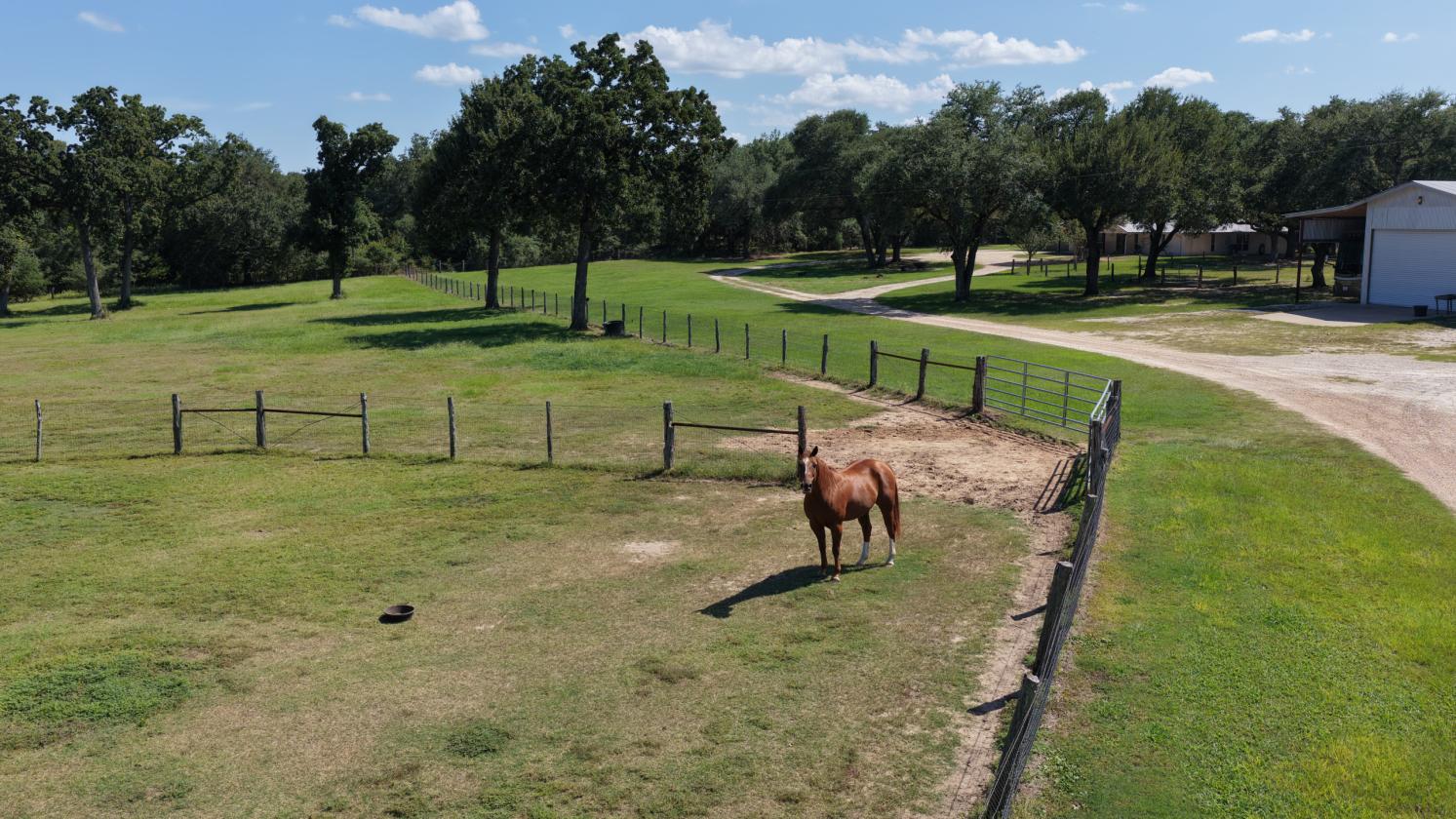 Lone Star Acres - photo 1