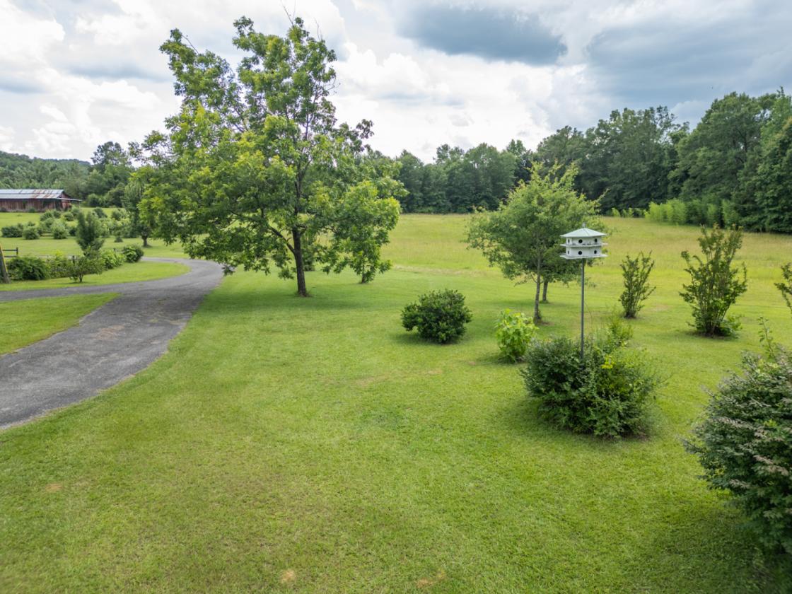 15 ACRES PLUS A HOME - photo 12