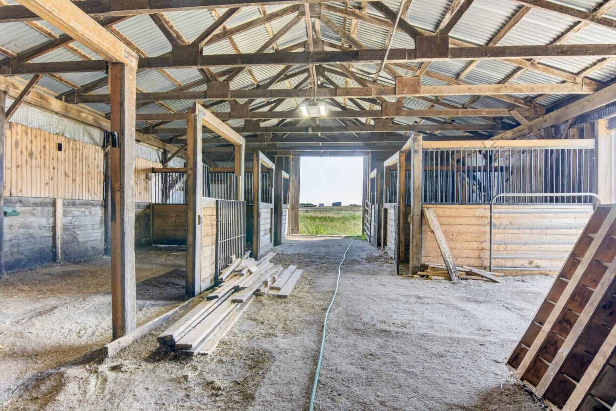 62+ Acre Farmstead w/ Barns, Pasture, and a View! - photo 18