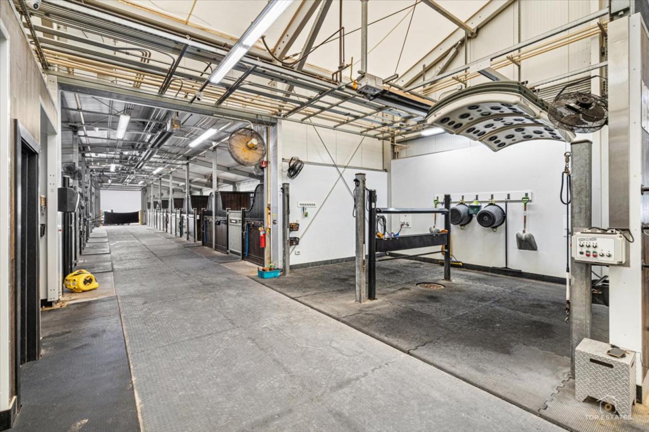 Truly exceptional world-class equestrian facility - photo 7