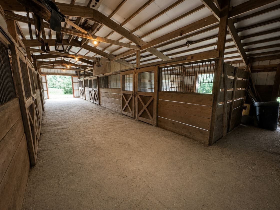 Horses, Hobbies, Recreation, and Outdoor Living - photo 27