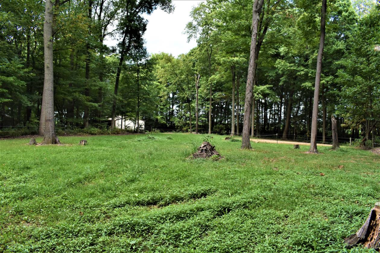 ONEOFAKIND SECLUDED HORSE FARM! Delphi, Carroll County, Indiana