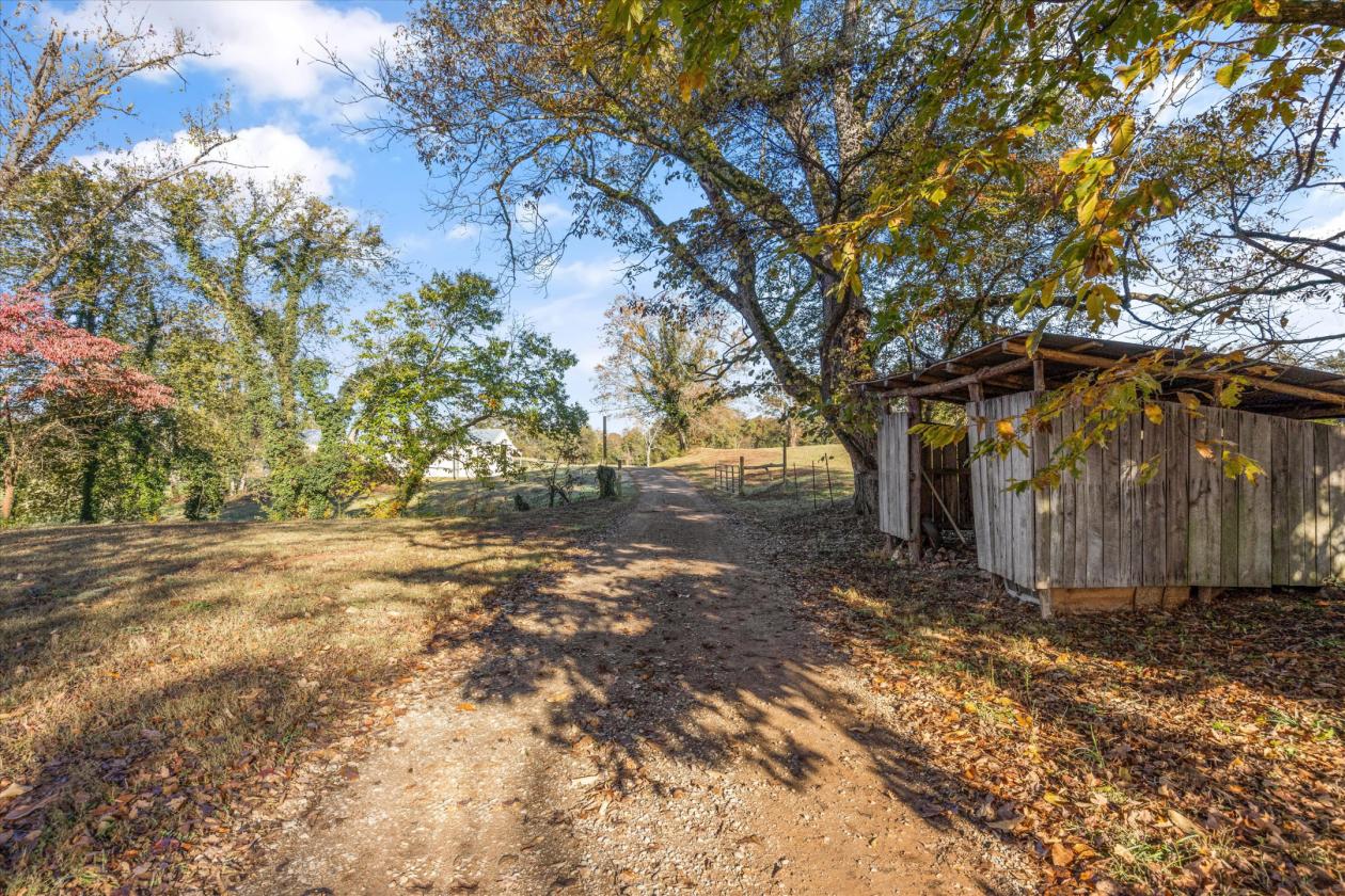 50-Acre Horse Farm w/ Barns & Beautiful Pasture - photo 11